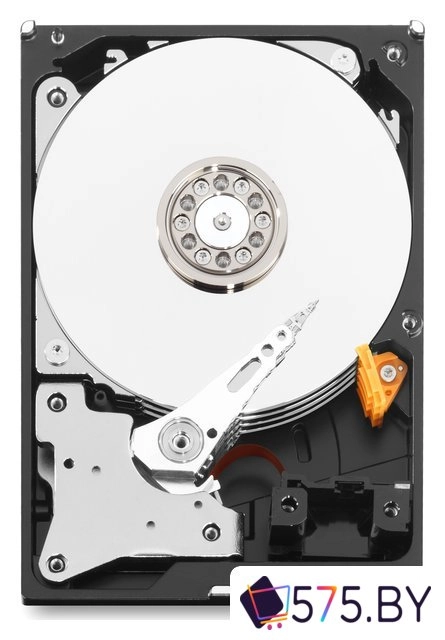 Жесткий диск WD Purple 1TB [WD10PURZ] в магазине 575.by