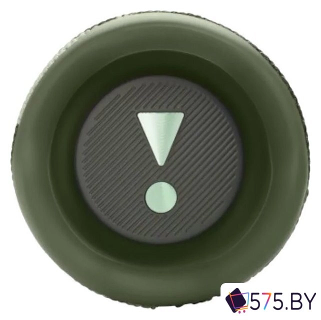Беспроводная колонка JBL Flip 6 (камуфляж) в магазине 575.by