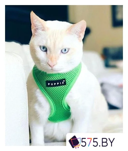 Шлейка-жилетка Puppia Soft Vest PAHA-AH305-GR-S (зеленый) в магазине 575.by