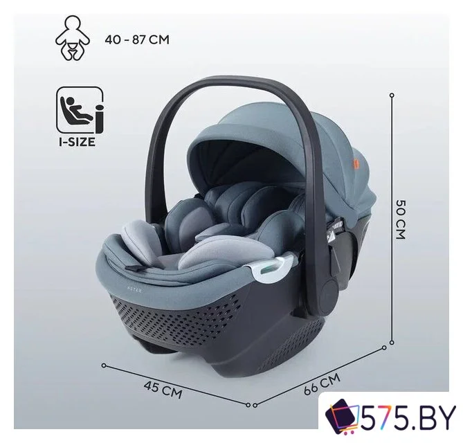 Детское автокресло Rant Aster Zero AY378 (графитовый) в магазине 575.by