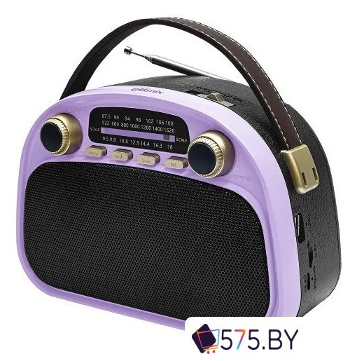 Радиоприемник Ritmix RPR-040 (лавандовый) в магазине 575.by
