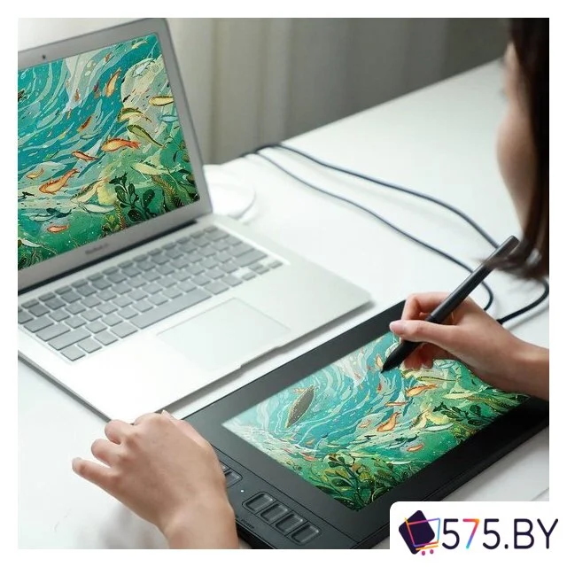 Графический монитор Gaomon PD1161 в магазине 575.by