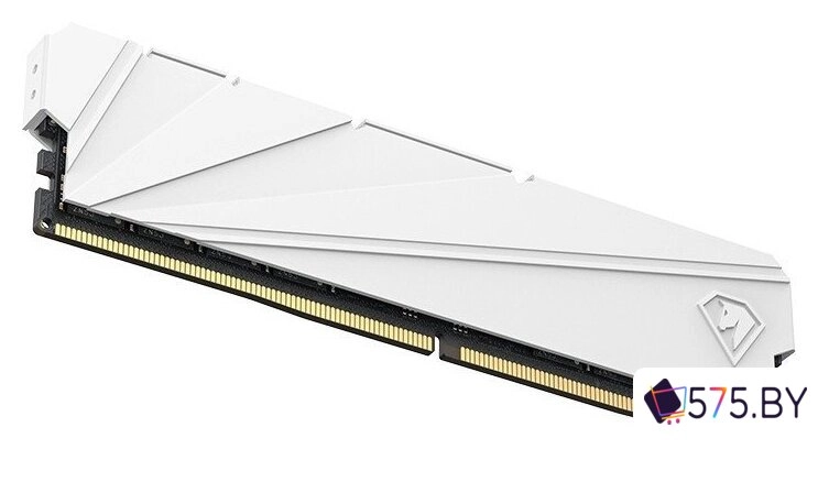 Оперативная память Netac Shadow S 16ГБ DDR4 2666 МГц NTSSD4P26SP-16W в магазине 575.by