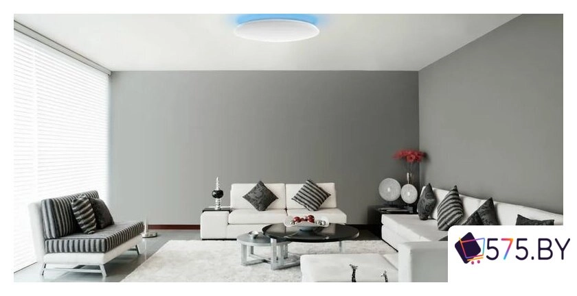 Светильник-тарелка Yeelight Arwen Ceiling Light 450C YLXD013-B в магазине 575.by