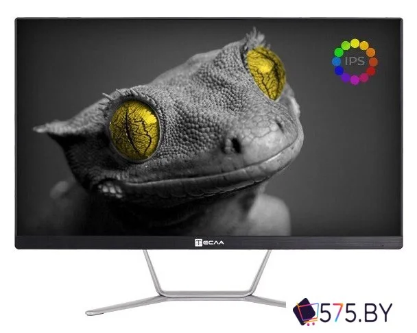 Моноблок ТЕСЛА Z24B 2108500 в магазине 575.by