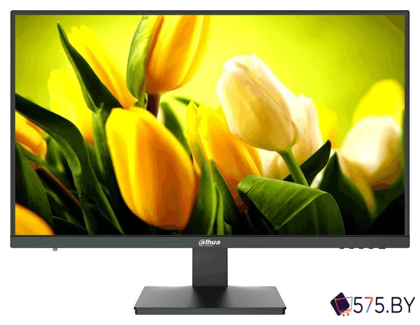 Монитор Dahua DHI-LM27-L200 в магазине 575.by
