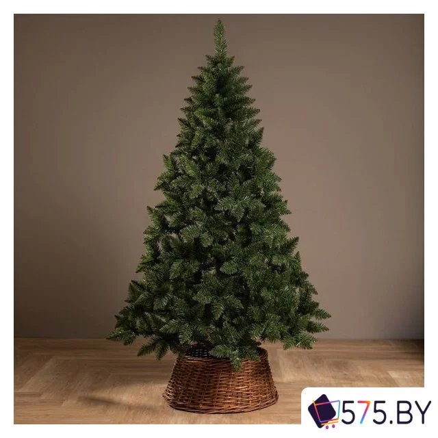 Ель Ёлушка Невская ЕНЕВ 18 (1.8м) в магазине 575.by