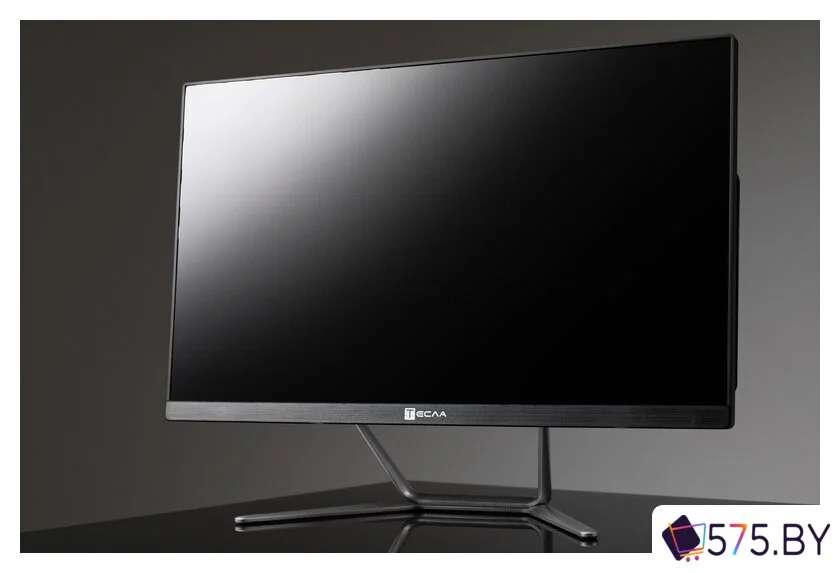 Моноблок ТЕСЛА Z24B 2416500 в магазине 575.by