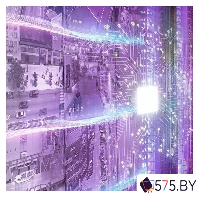 Жесткий диск WD Purple Pro 10TB WD101PURP в магазине 575.by