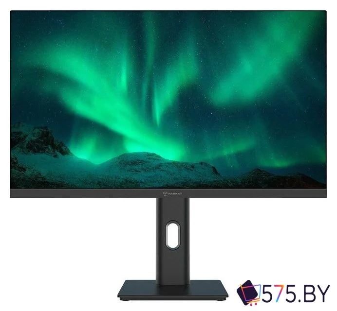 Монитор Raskat I24F10DAP в магазине 575.by