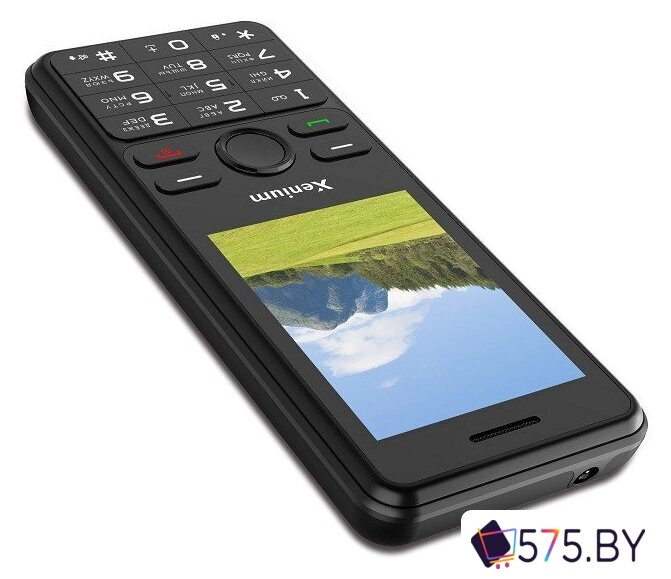Кнопочный телефон Xenium X280 (черный)