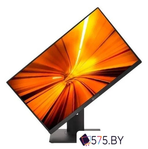 Моноблок ТЕСЛА P24BP 2108500 в магазине 575.by