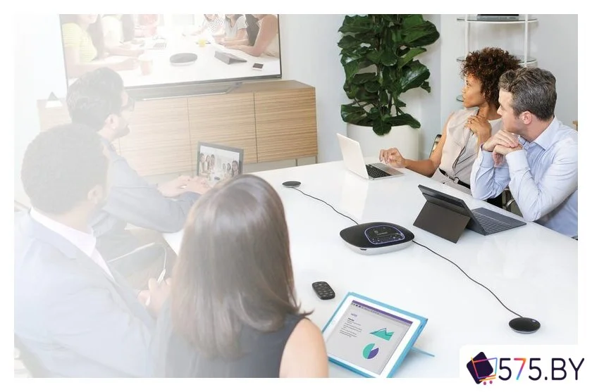 Комплект проводных микрофонов Logitech Group Expansion Microphones [989-000171] в магазине 575.by