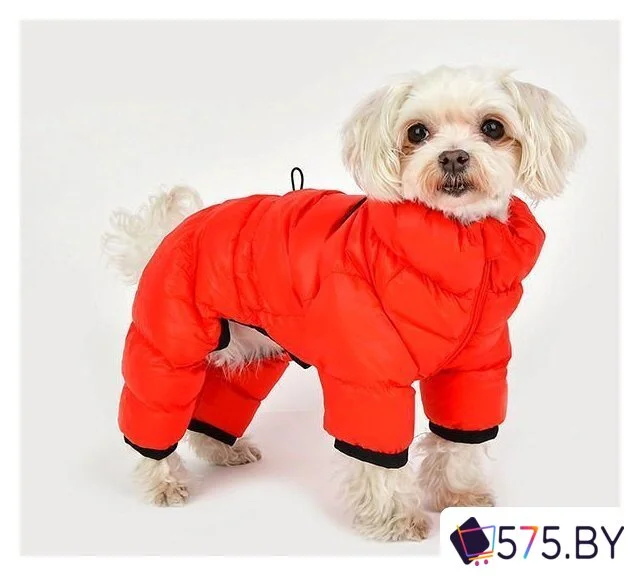 Комбинезон для животных Puppia Jumpesuit B PAPD-JM1673-RD-M (красный) в магазине 575.by