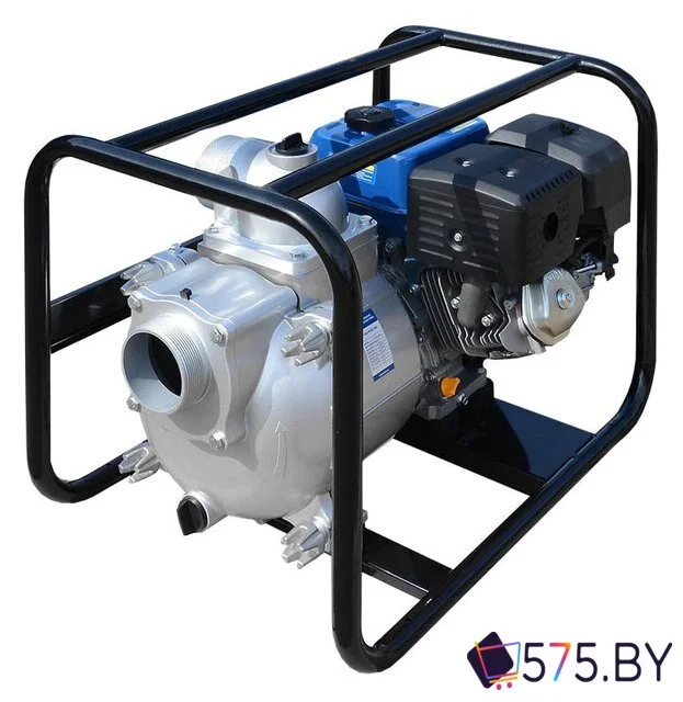 Мотопомпа ТСС PGST100 в магазине 575.by