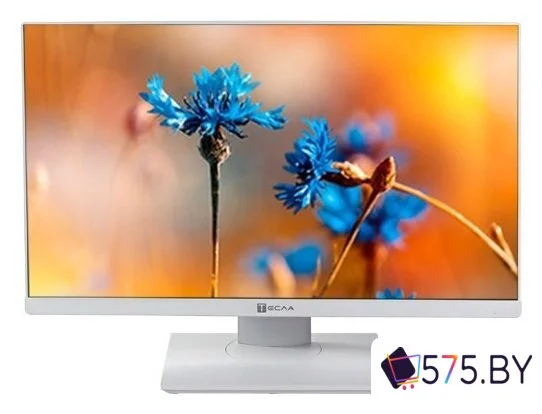 Моноблок ТЕСЛА P24WP 2416500 в магазине 575.by