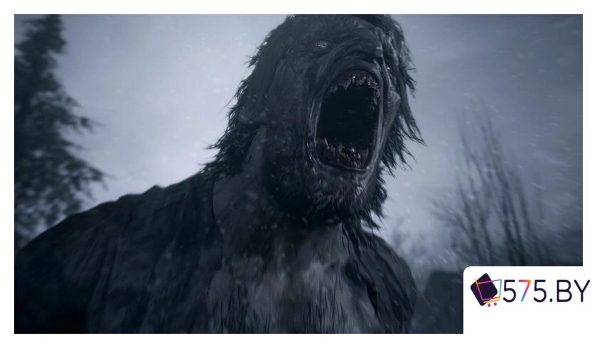 Игры для приставок PlayStation 5 Resident Evil Village в магазине 575.by