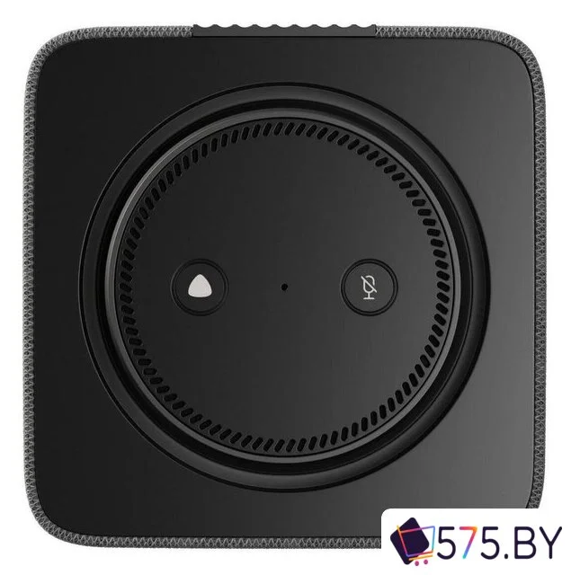 Умная колонка Яндекс Станция Макс (с хабом умного дома Zigbee, графит) в магазине 575.by