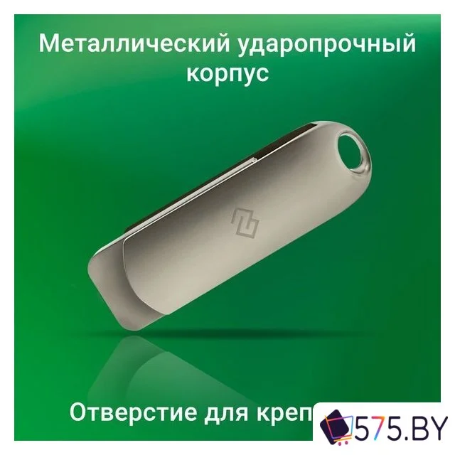 USB Flash Digma Drive 3 256GB DGFUM256A30SR в магазине 575.by