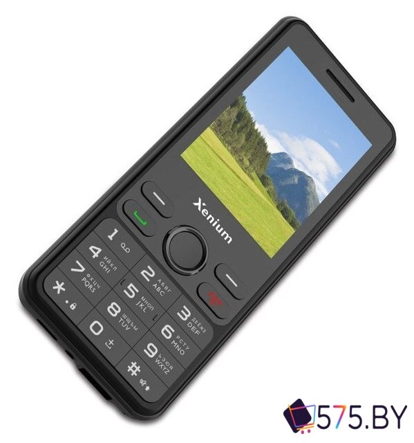 Кнопочный телефон Xenium X280 (черный)