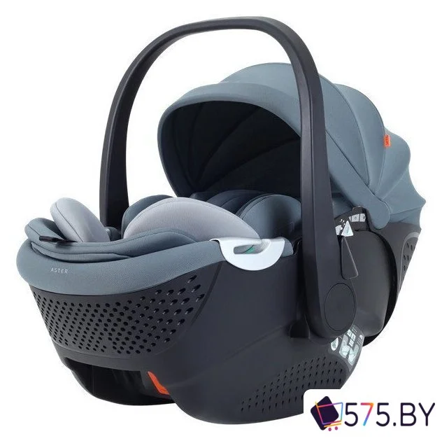 Детское автокресло Rant Aster Zero AY378 (графитовый) в магазине 575.by