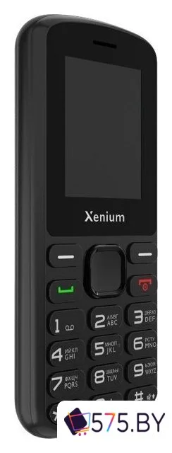 Кнопочный телефон Xenium X170 (черный)