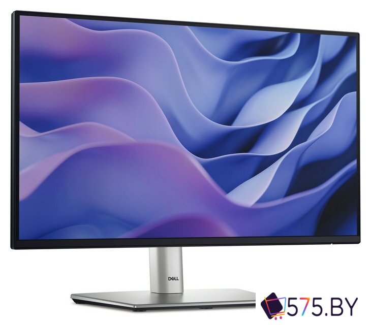 Монитор Dell Pro Plus P2225H в магазине 575.by