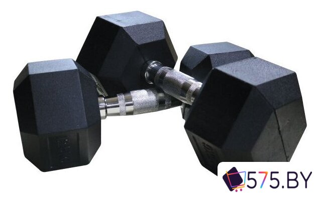 Набор гантелей DFC DB001-2 2x2 кг в магазине 575.by