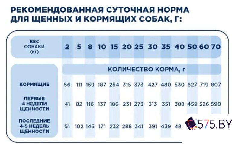 Сухой корм для собак Pet's Brunch Starter для щенков и кормящих с говядиной 4 кг в магазине 575.by