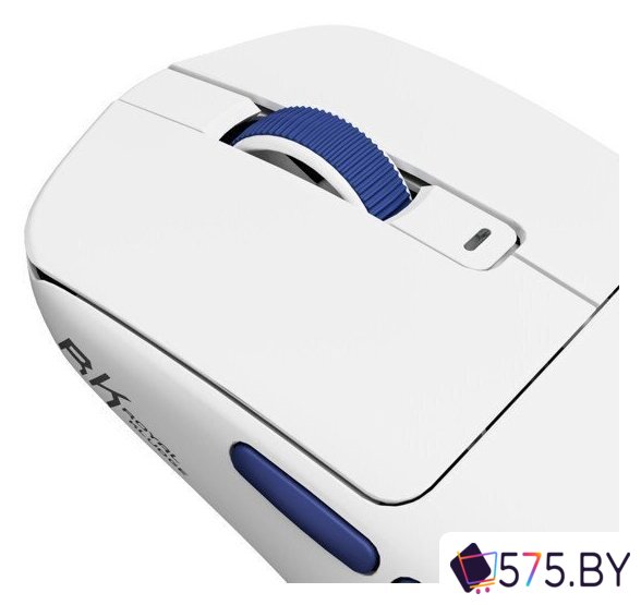 Игровая мышь Royal Kludge M30 (белый/синий) в магазине 575.by
