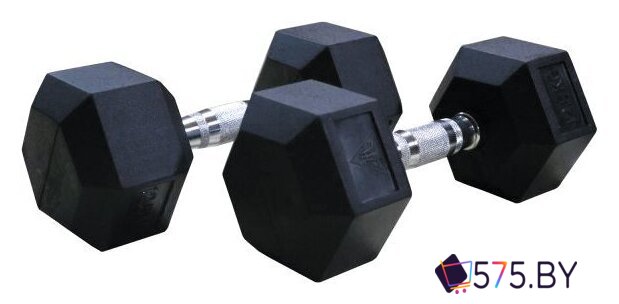 Набор гантелей DFC DB001-2 2x2 кг в магазине 575.by