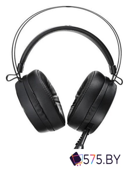 Наушники Rapoo VH500 (черный) в магазине 575.by