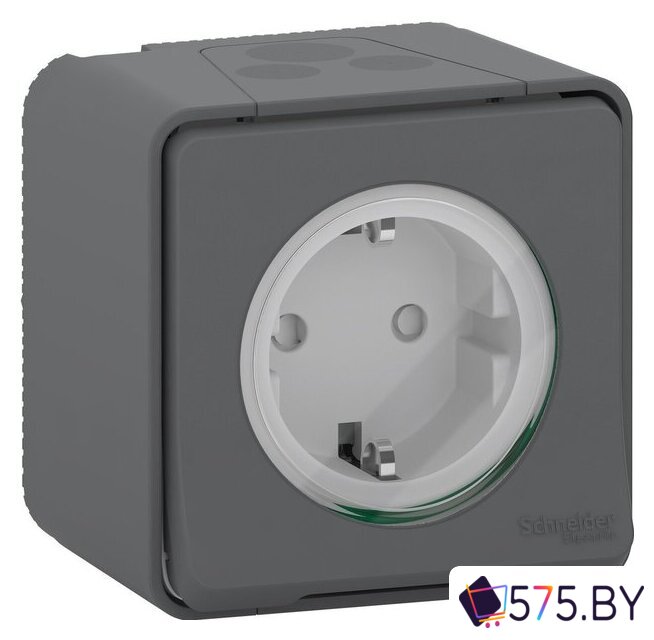 Розетка Schneider Electric Mureva Styl MUR36034 в магазине 575.by