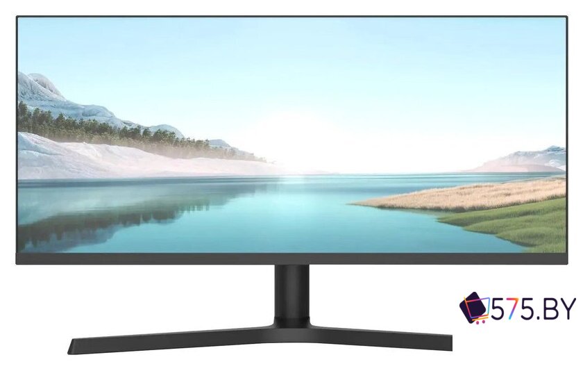 Игровой монитор NPC MZ300L в магазине 575.by