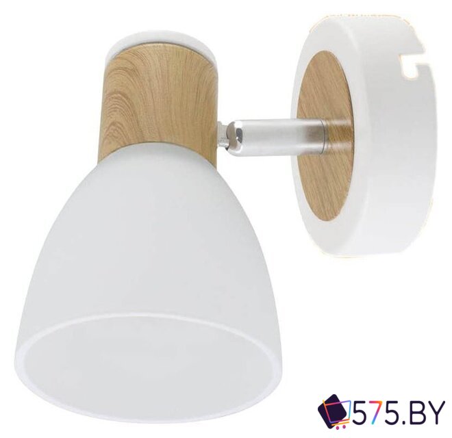 Спот TDM Electric SQ0356-0001 в магазине 575.by
