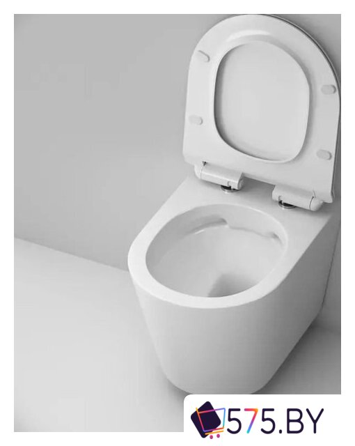 Унитаз подвесной AM.PM Sunny Flashclean C85C1701SC + TECE Profil 9300302 в магазине 575.by
