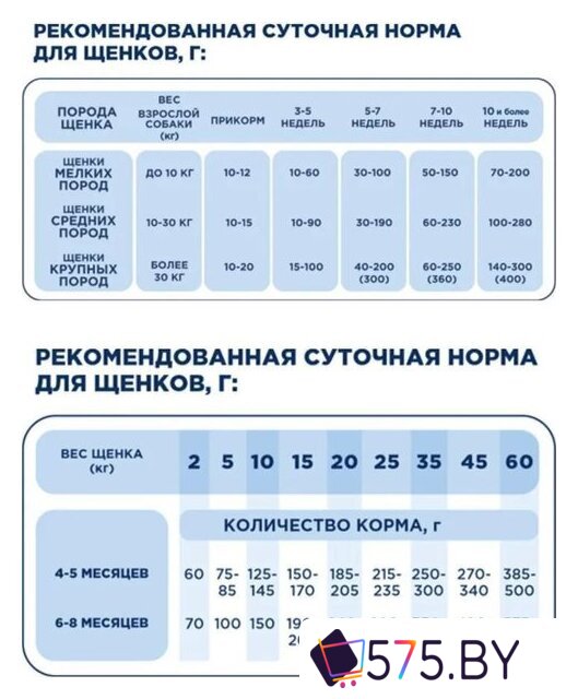 Сухой корм для собак Pet's Brunch Starter для щенков и кормящих с говядиной 4 кг в магазине 575.by