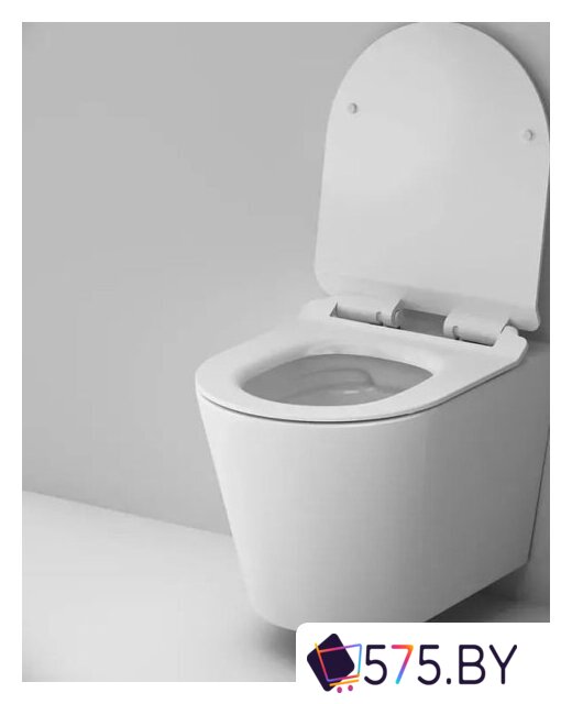 Унитаз подвесной AM.PM Sunny Flashclean C85C1701SC + TECE Profil 9300302 в магазине 575.by