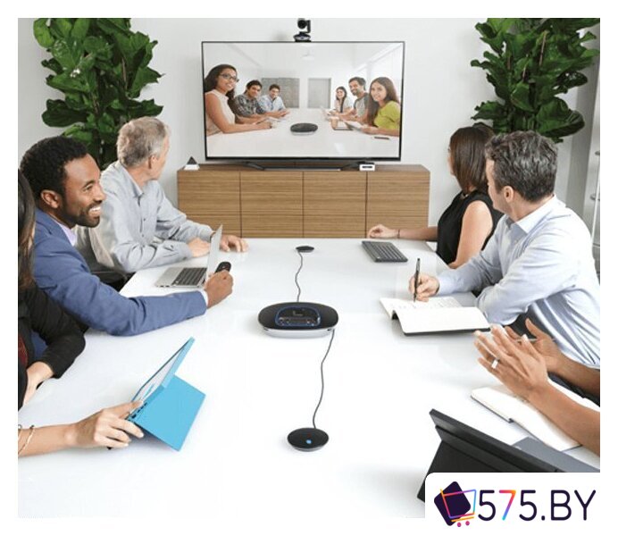 Комплект проводных микрофонов Logitech Group Expansion Microphones [989-000171] в магазине 575.by