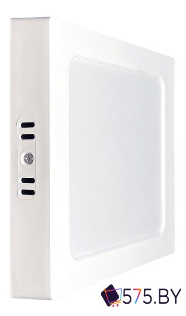 Светильник TruEnergy 25W 4000K 10111 в магазине 575.by