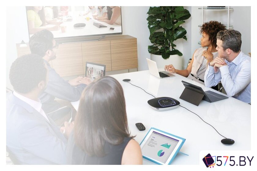 Комплект проводных микрофонов Logitech Group Expansion Microphones [989-000171] в магазине 575.by