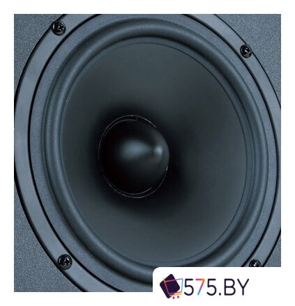 Акустика Microlab Solo-6C в магазине 575.by